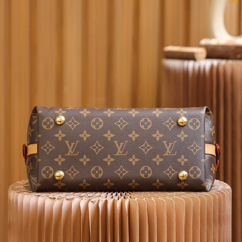 LV  CarryAll PM