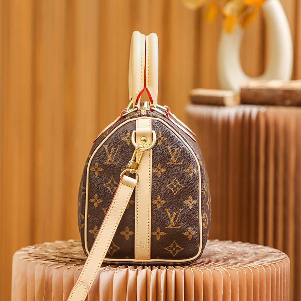 LV Speedy Bandoulière 25（high-end grade）